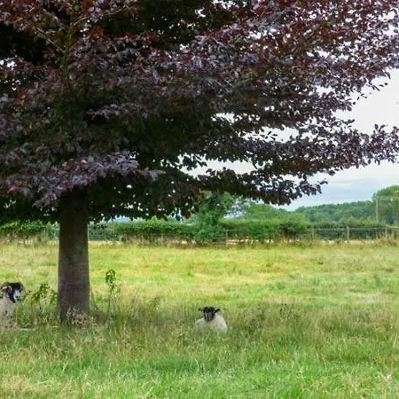 Дом отдыха The Granary *